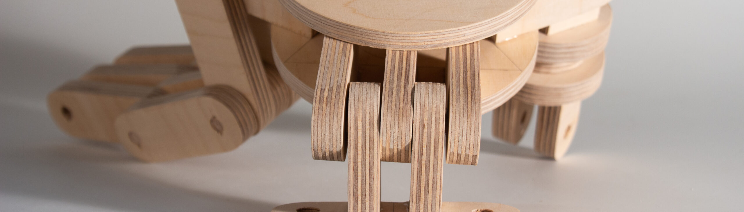 Holzmodell_schmal