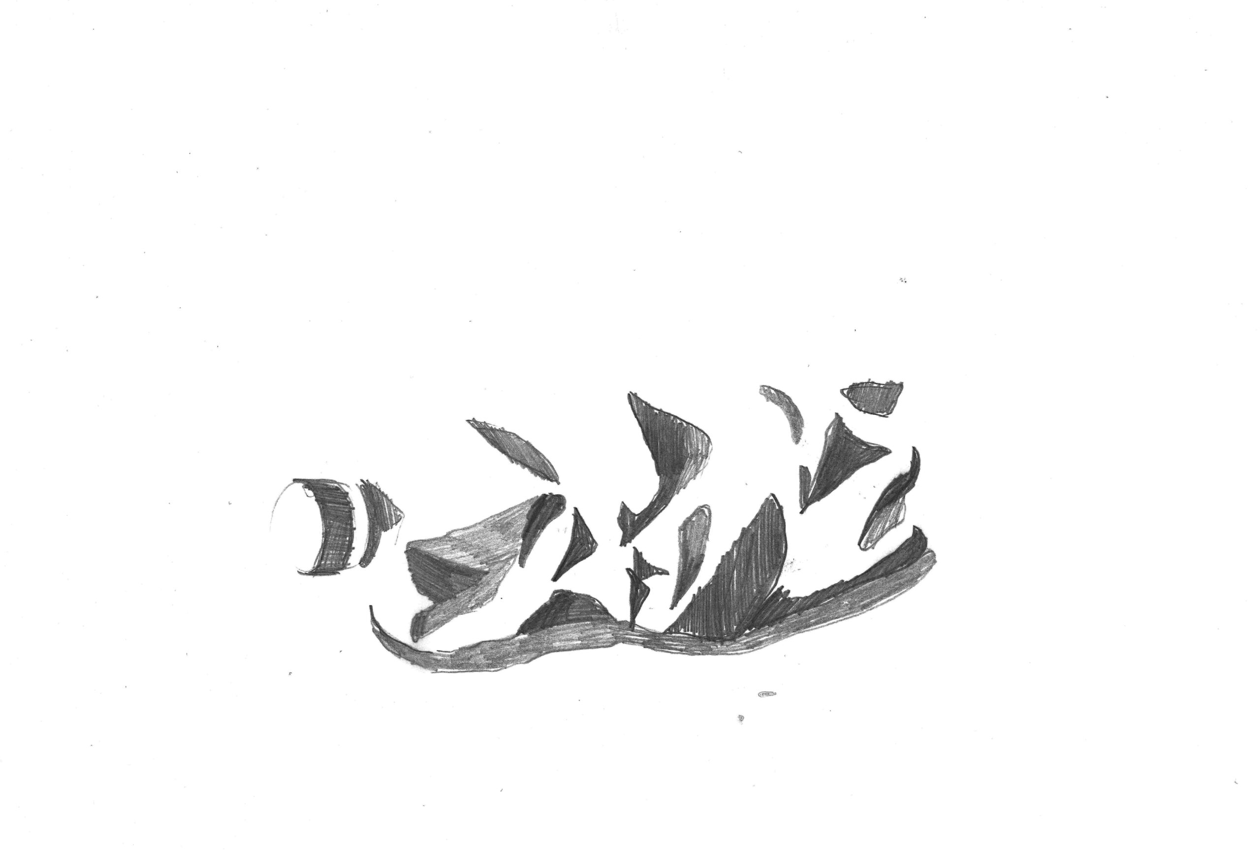 Flasche_Skizze3